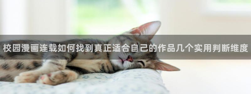 漫画岛最新资讯：校园漫画连载如何找到真正适合自己的作品几个实用判断维度