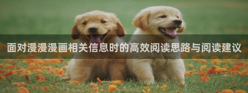 漫画岛在线阅读导航：面对漫漫漫画相关信息时的高效阅读思路与阅读建议