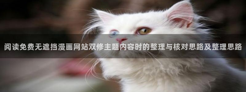 漫画岛漫画频道：阅读免费无遮挡漫画网站双修主题内容时的整理与核对思路及整理思路