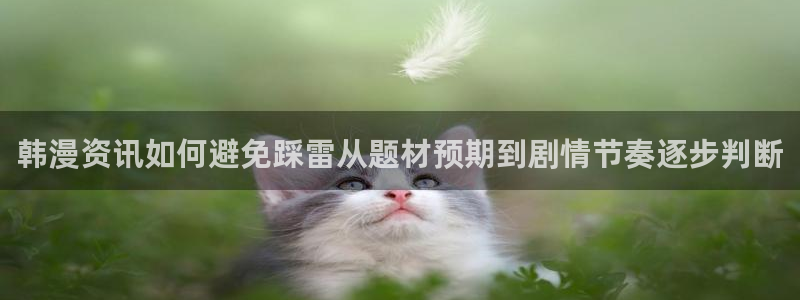 漫画岛漫画章节:韩漫资讯如何避免踩雷从题材预期到剧情节奏逐步判断