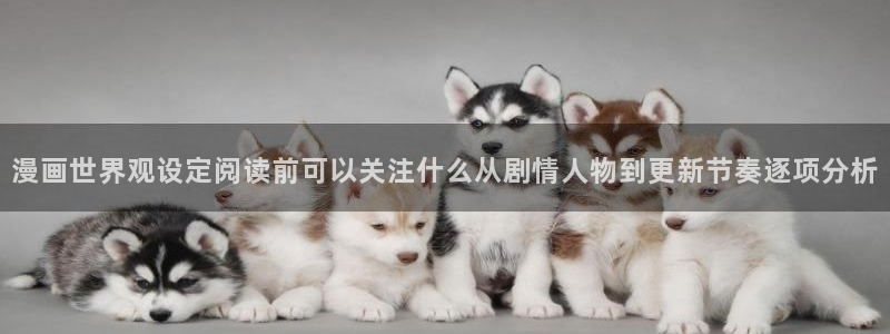 漫画岛人气榜：漫画世界观设定阅读前可以关注什么从剧情人物到更新节奏逐项分析